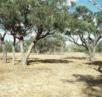 Forest Den National Park - Northern Rivers Accommodation