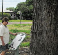 Augathella Kenniff Tree - Northern Rivers Accommodation