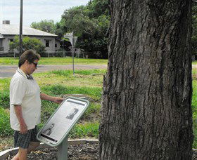 Augathella Kenniff Tree - Northern Rivers Accommodation 0