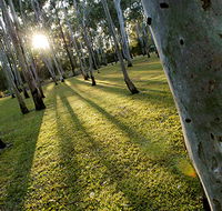 Tondoon Botanic Gardens - Northern Rivers Accommodation