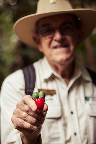 Tondoon Botanic Gardens - Northern Rivers Accommodation 1