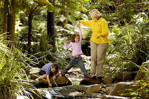 Tondoon Botanic Gardens - Northern Rivers Accommodation 2