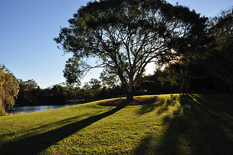 Tondoon Botanic Gardens - Northern Rivers Accommodation 4