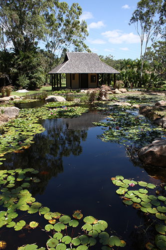 Tondoon Botanic Gardens - Northern Rivers Accommodation 8