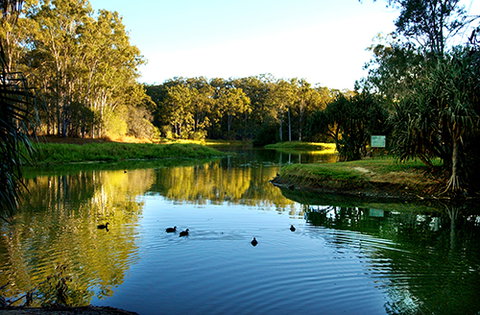 Tondoon Botanic Gardens - Northern Rivers Accommodation 9