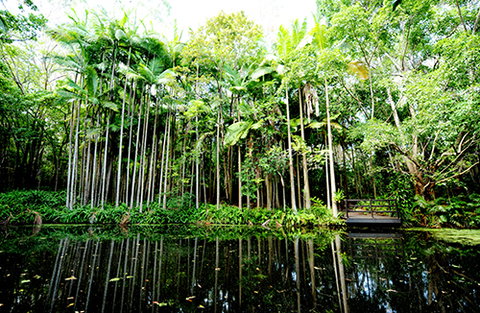 Tondoon Botanic Gardens - Northern Rivers Accommodation 11