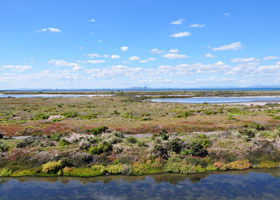 Point Cook Coastal Park - Northern Rivers Accommodation 0