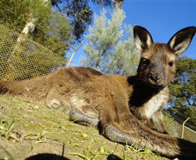 Navigators VIC Northern Rivers Accommodation