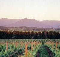 Domaine Chandon - Northern Rivers Accommodation