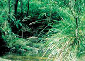 Barrys Reef VIC Northern Rivers Accommodation