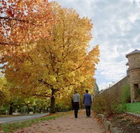 Indigo Gold Trail - Northern Rivers Accommodation