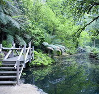 Alfred Nicholas Gardens
