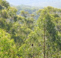 Bunyip State Park - Northern Rivers Accommodation