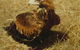 Long Forest Nature Conservation Reserve - thumb 0