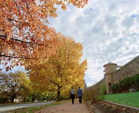 Beechworth Historic Park - Northern Rivers Accommodation 0