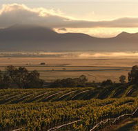 Montara Wines - Northern Rivers Accommodation