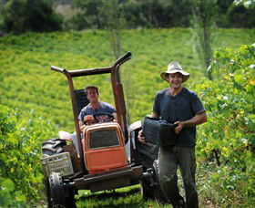 Kellybrook Winery & Kelly Brothers Cider - Northern Rivers Accommodation 0