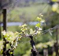 Michelini Wines - Northern Rivers Accommodation