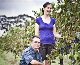 Anderson Winery - Northern Rivers Accommodation 0