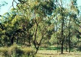 Beauchamp VIC Northern Rivers Accommodation
