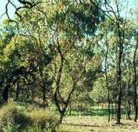 Leaghur State Park - Northern Rivers Accommodation