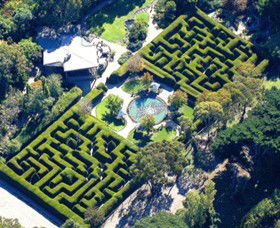 Ashcombe Maze & Lavender Gardens - Northern Rivers Accommodation 0