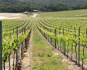 M Chapoutier Australia - Northern Rivers Accommodation 0