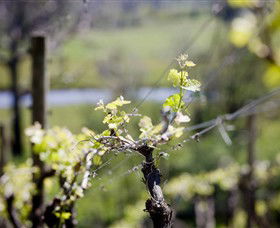 Kyneton Ridge Estate - Northern Rivers Accommodation 0