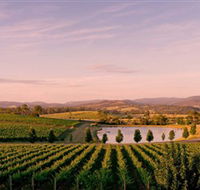Oakridge Wines - Northern Rivers Accommodation