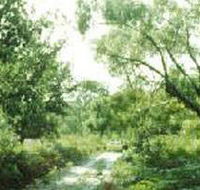 Holey Plains State Park - Northern Rivers Accommodation