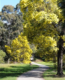 Mont Albert VIC Northern Rivers Accommodation