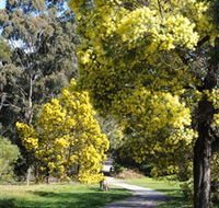 Wattle Park - Northern Rivers Accommodation