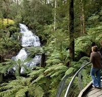 Great Otway National Park - Northern Rivers Accommodation