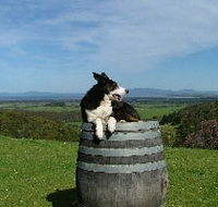 Windy Ridge Vineyard and Winery - Northern Rivers Accommodation