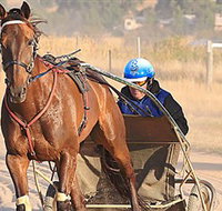 Ballarat  District Trotting Club - Northern Rivers Accommodation
