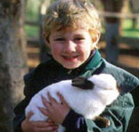 Maribyrnong Valley Parklands - Northern Rivers Accommodation