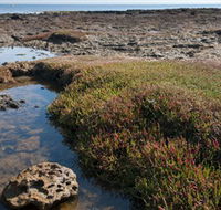 Ricketts Point Marine Sanctuary - Northern Rivers Accommodation
