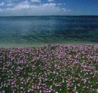 The Lakes National Park - Northern Rivers Accommodation