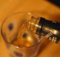 Shady Pines Saloon - Northern Rivers Accommodation