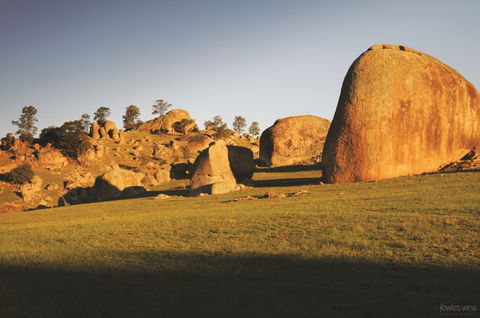 Fowles Wine - Northern Rivers Accommodation 3