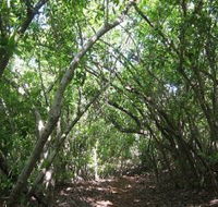 Eucalypt Trail - Northern Rivers Accommodation