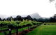 Cambewarra Estate Wines - thumb 0