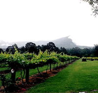 Cambewarra Estate Wines - Northern Rivers Accommodation
