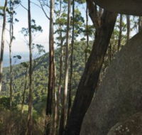 Gulaga National Park - Northern Rivers Accommodation