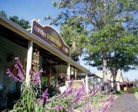 Passionfish Candles - Northern Rivers Accommodation 0