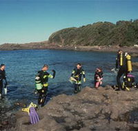 Bushrangers Bay Aquatic Reserve - Northern Rivers Accommodation