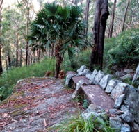 Wodi Wodi Walking Track - Northern Rivers Accommodation