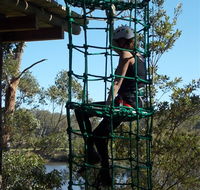 Trees Adventure Shoalhaven - Northern Rivers Accommodation