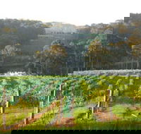 Tilba Valley Wines - Northern Rivers Accommodation