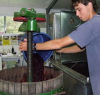 Fern Gully Winery - Northern Rivers Accommodation